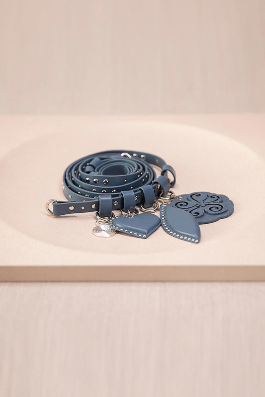 Faux Leather Aafia Belt – Blue